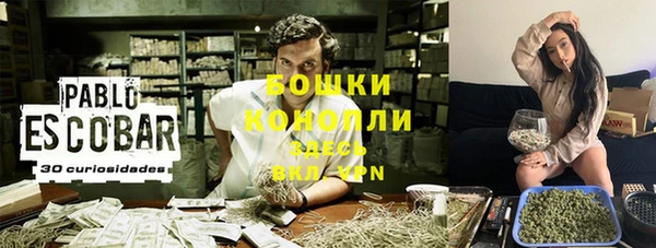 ГАЛЛЮЦИНОГЕННЫЕ ГРИБЫ Бронницы
