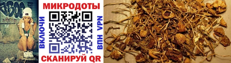 Псилоцибиновые грибы ЛСД  Липецк 